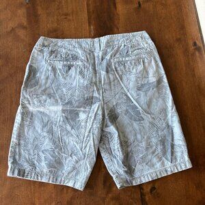 Men's American Eagle Shorts